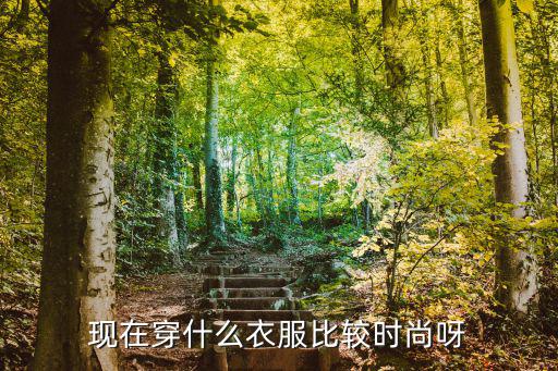 时尚大人穿什么衣服，现在穿什么衣服比较时尚呀
