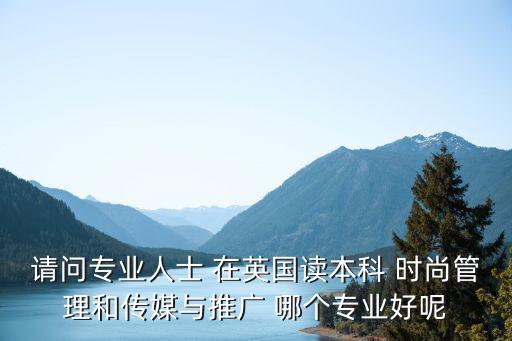 请问专业人士 在英国读本科 时尚管理和传媒与推广 哪个专业好呢