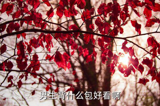男生背什么书包时尚，男生背什么包好看啊