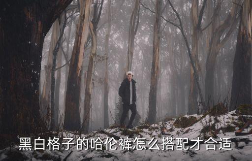 黑白格子的哈伦裤怎么搭配才合适