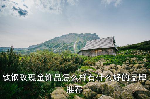 钛钢玫瑰金饰品怎么样有什么好的品牌推荐
