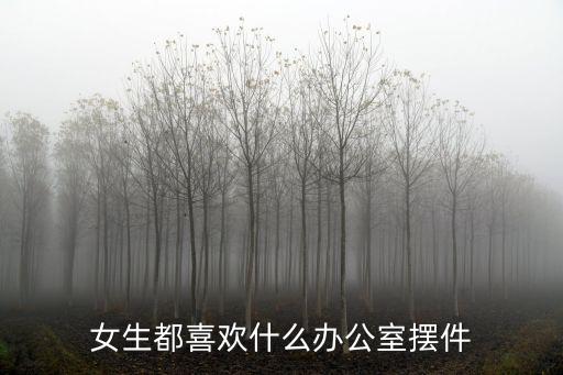 女生都喜欢什么办公室摆件