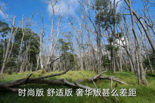 舒适型和时尚型哪个贵，时尚版 舒适版 奢华版甚么差距