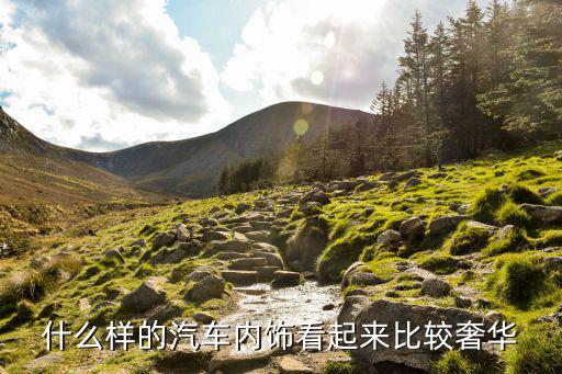 什么样的汽车内饰看起来比较奢华