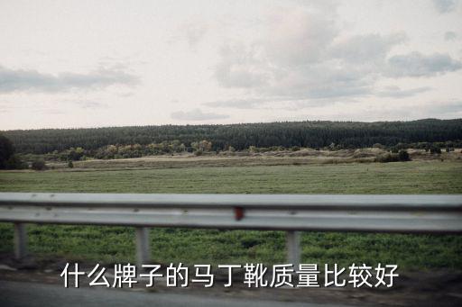 什么牌子的马丁靴质量比较好