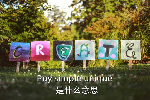 Puy simple unique  是什么意思