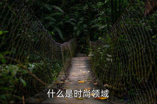 什么是时尚领域