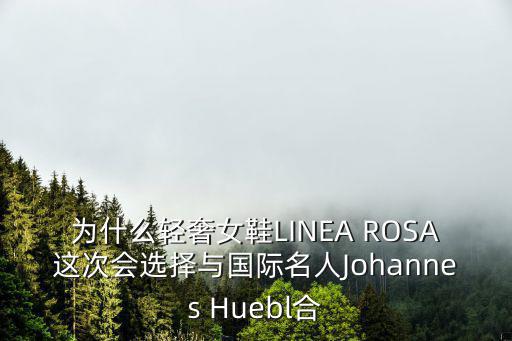 与时尚沾边的模特有哪些，为什么轻奢女鞋LINEA ROSA这次会选择与国际名人Johannes Huebl合