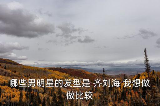 哪些男明星的发型是 齐刘海 我想做做比较