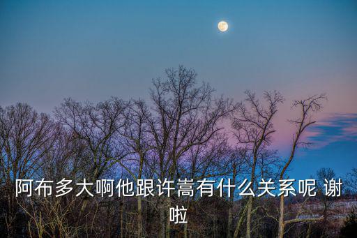 阿布多大啊他跟许嵩有什么关系呢 谢啦