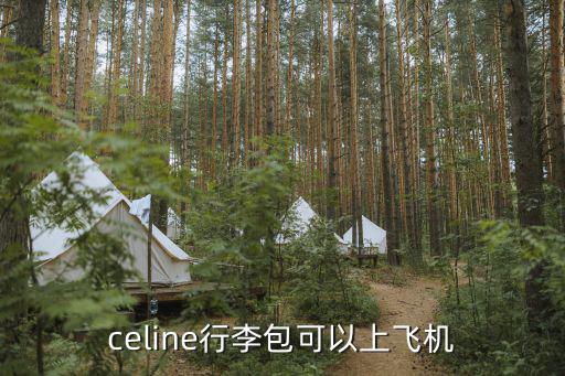celine行李包可以上飞机