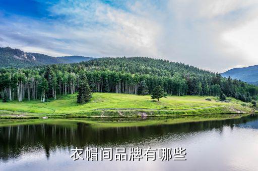 衣帽间品牌有哪些