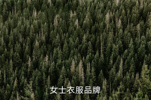 时尚淑女女装有哪些牌子，品牌女装有哪些