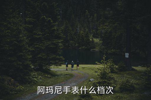 阿玛尼手表什么档次