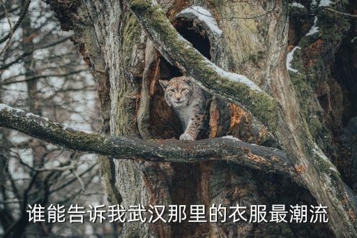 谁能告诉我武汉那里的衣服最潮流