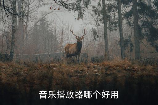 时尚资讯音频播放软件哪个好，音乐播放软件有最新款的吗选择哪个软件比较好些