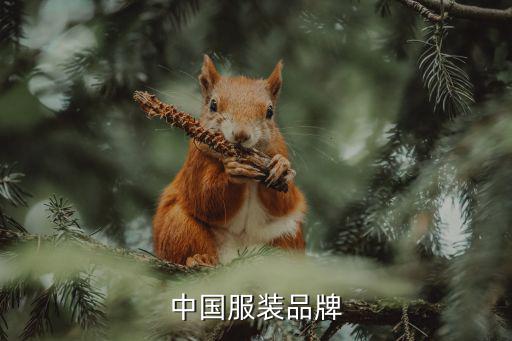 中国服装品牌