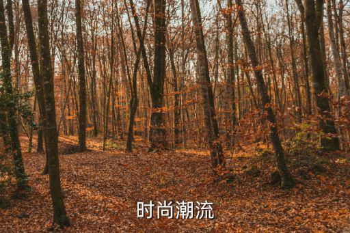 时尚潮流