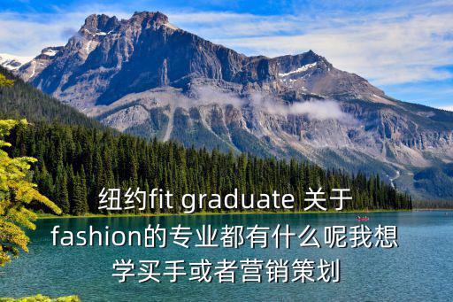 纽约时尚学院专业有哪些，纽约fit graduate 关于fashion的专业都有什么呢我想学买手或者营销策划
