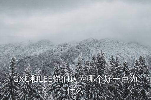 GXG和LEE你们认为哪个好一点为什么