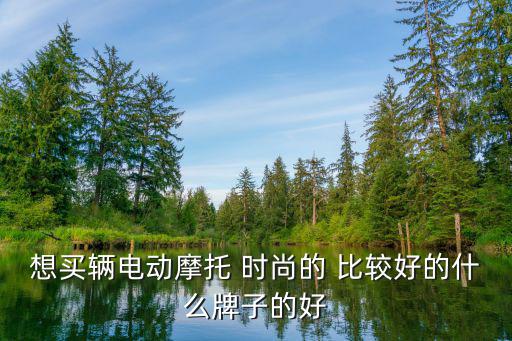 时尚版电摩有哪些牌子，想买辆电动摩托 时尚的 比较好的什么牌子的好