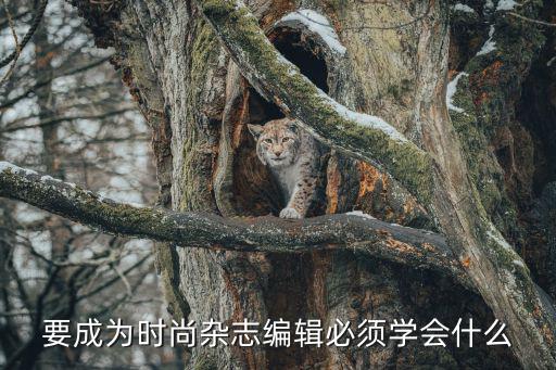 时尚编辑应该学什么，我长大想当一个时尚编辑请问应学什么专业