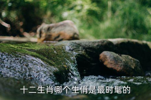 哪个生肖女穿衣服最时尚，12生肖什么动物最时髦