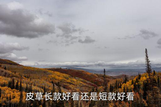 皮草长款好看还是短款好看