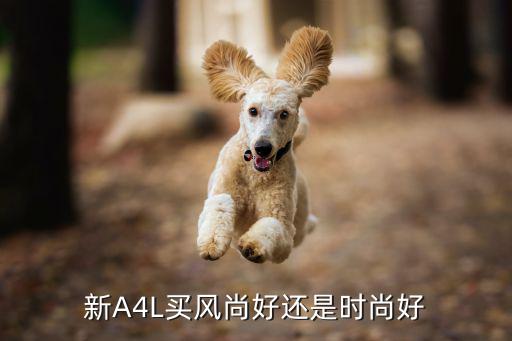 新A4L买风尚好还是时尚好
