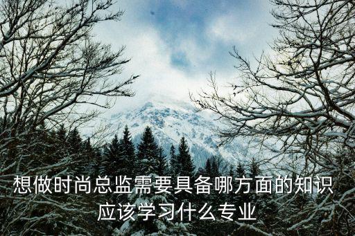 学什么当时尚总监，想做时尚总监需要具备哪方面的知识 应该学习什么专业