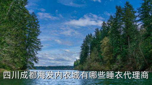 成都时尚文胸加盟店有哪些，时尚阿好坊成都有几家加盟商