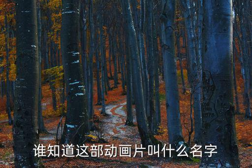谁知道这部动画片叫什么名字