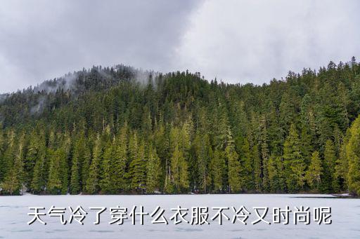 冷淡时尚穿什么衣服，天气冷了穿什么衣服不冷又时尚呢
