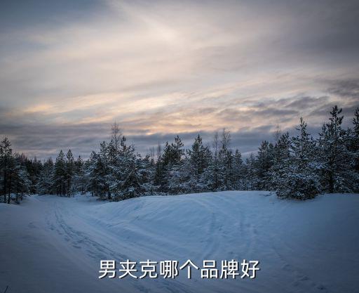 品牌时尚男款夹克有哪些，哪个牌子的男士夹克比较好