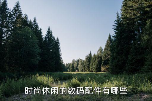 时尚休闲的数码配件有哪些