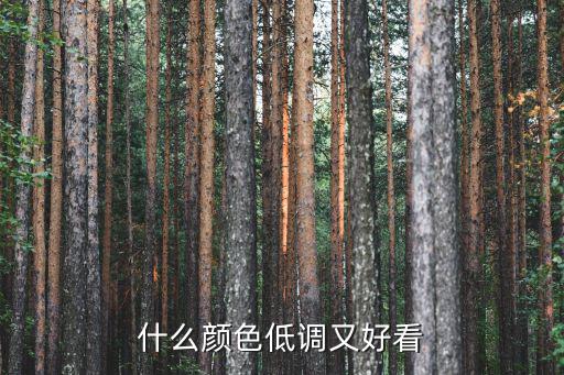 什么颜色低调又好看