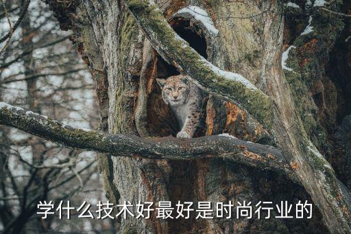 学什么技术好最好是时尚行业的
