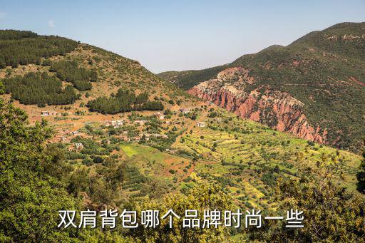双肩背包哪个品牌时尚一些