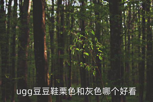 板栗色和灰色鞋哪个更时尚，什么颜色的鞋子最时尚