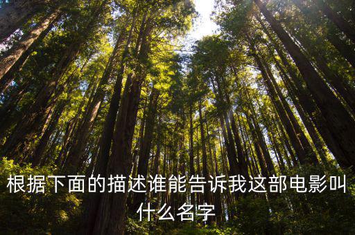 根据下面的描述谁能告诉我这部电影叫什么名字