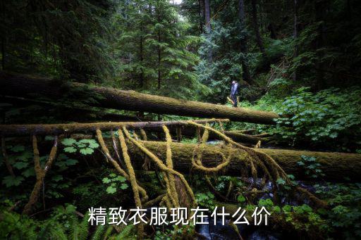 精致快时尚什么价位，精致衣服现在什么价