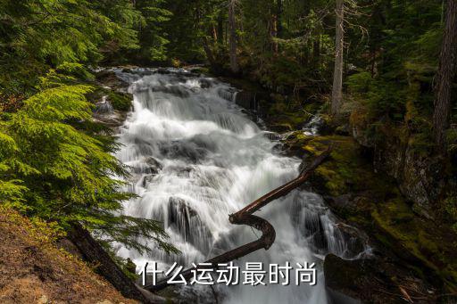 什么运动最时尚