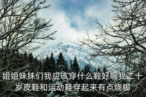 运动鞋和皮鞋哪个更时尚，姐姐妹妹们我应该穿什么鞋好啊我二十岁皮鞋和运动鞋穿起来有点烧脚