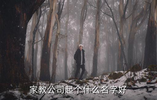 家教公司起个什么名字好