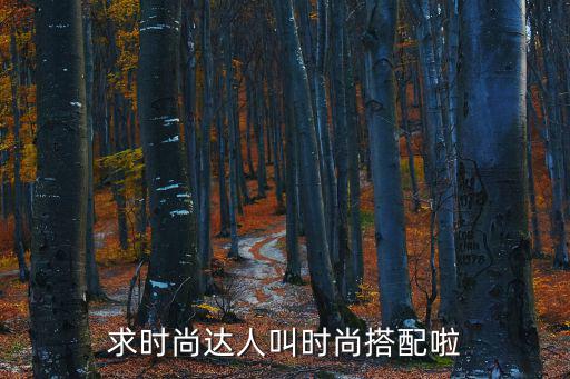 求时尚达人叫时尚搭配啦