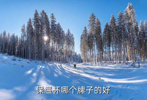 保温杯哪个牌子的好