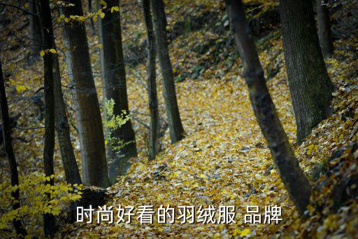 时尚好看的羽绒服 品牌