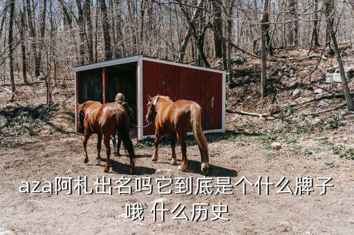 aza阿札出名吗它到底是个什么牌子哦 什么历史
