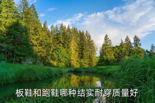 板鞋和跑鞋哪种结实耐穿质量好