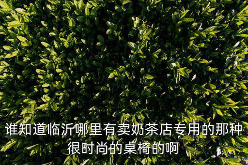 谁知道临沂哪里有卖奶茶店专用的那种很时尚的桌椅的啊